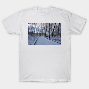 Winter T-Shirt